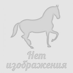 Методика подготовки стипль-чезной лошади