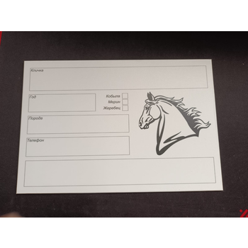 Табличка на денник (пластик) многоразовые. Без рекламы.