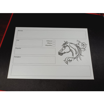 Табличка на денник (пластик) многоразовые. Без рекламы.